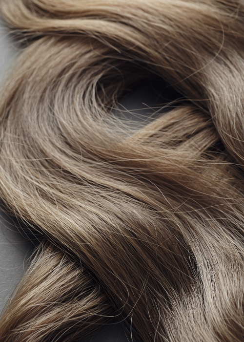 Detail einer Haarverlängerung im Avenoso Perücken Studio